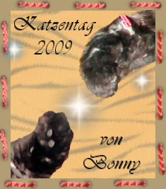 Katzentag 2009